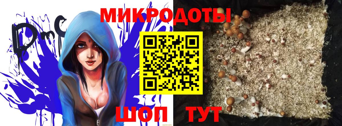Калининград  Псилоцибиновые грибы MAGIC MUSHROOMS  наркошоп  Вход с VPN  Псилоцибиновые грибы Magic Shrooms 