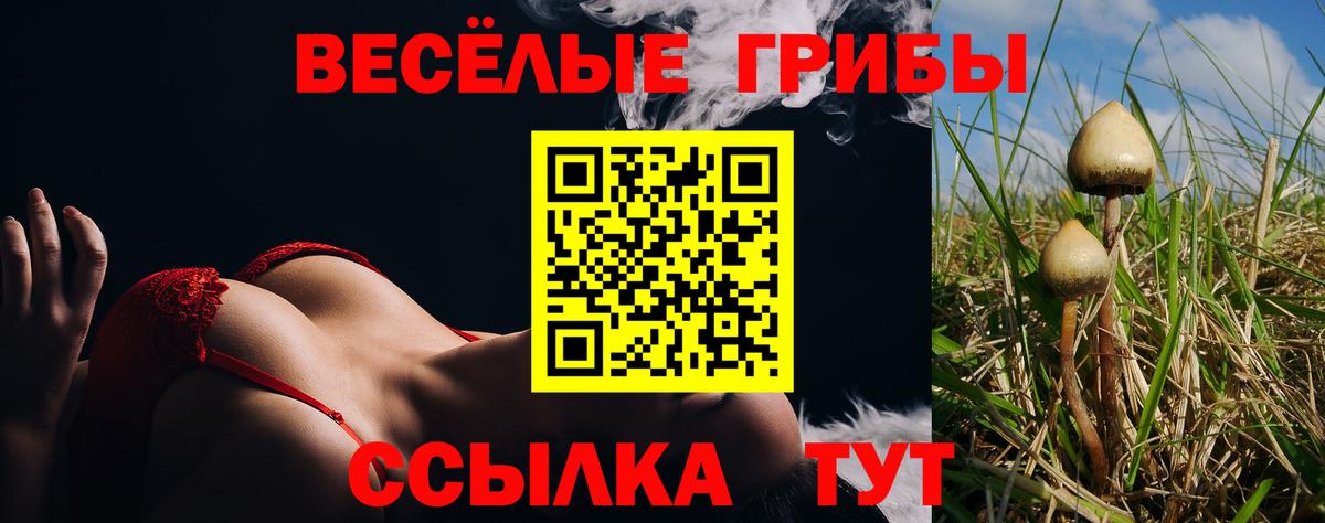 Псилоцибиновые грибы Cubensis Калининград